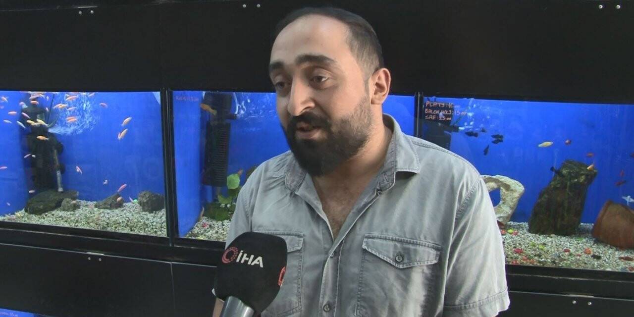 Vitrinde kedi ve köpek satış yasağı başladı