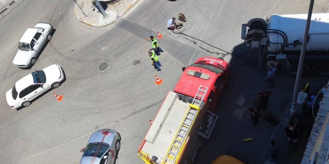 Mazgaldan düşen kedi kurtarıldı