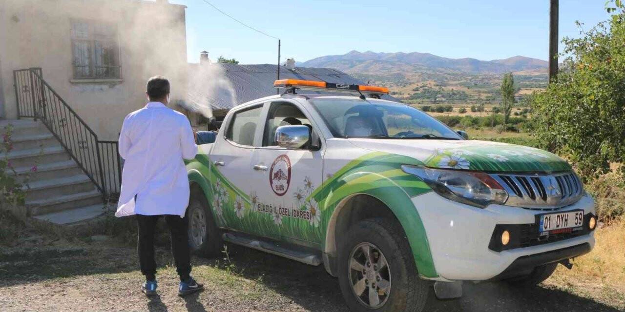 Elazığ İl Özel İdaresinden haşere ve larva ile mücadele