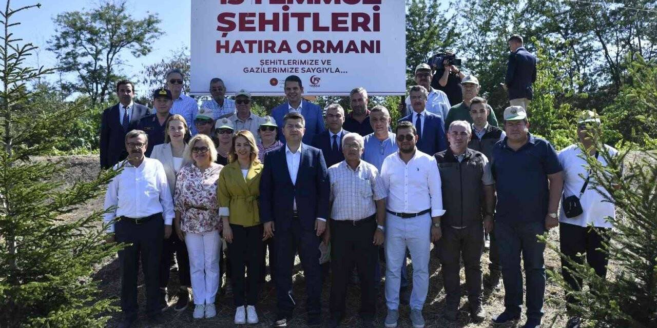 15 Temmuz şehitleri anısına dikilen 251 fidan ve ağaca bakım yapıldı
