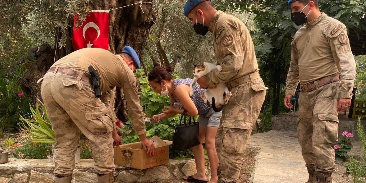 Jandarma ekipleri Datça’daki orman yangını için topyekün seferber oldu