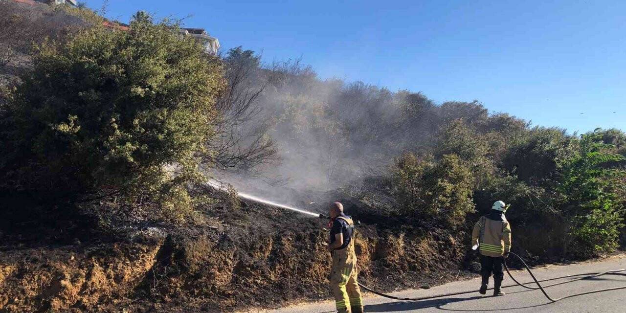 Maltepe’de makilik alanda çıkan yangın söndürüldü