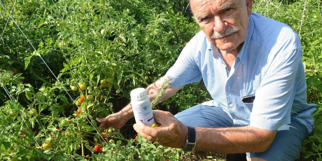 Toros Dağları’nın kekiği her derde deva