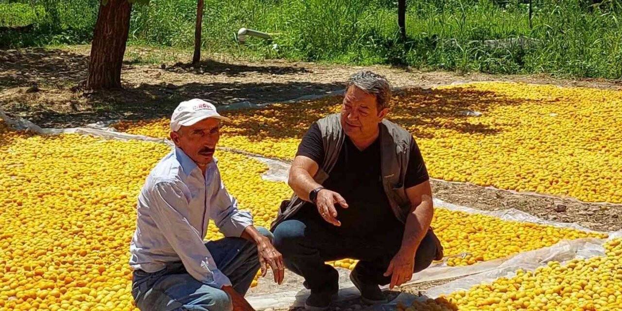 MHP’li Fendoğlu’ndan  kayısı üreticilerine ziyaret