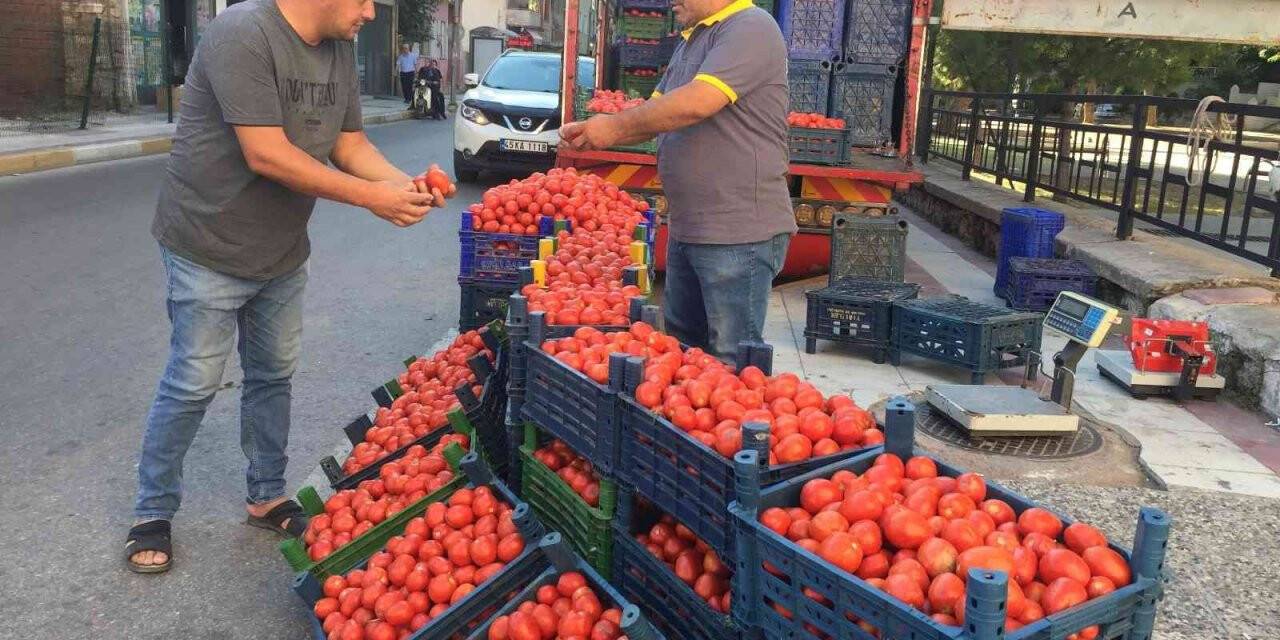 Salçalık domates fiyatları el yakıyor