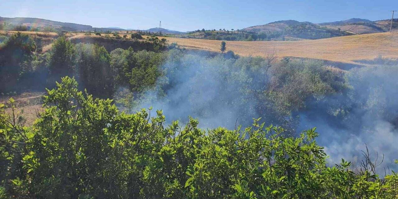Anız yangınında 1 kişi dumandan zehirlendi