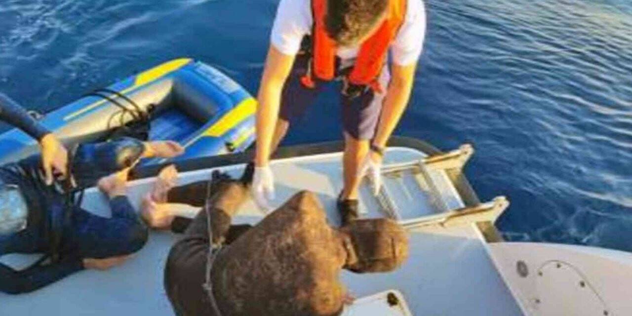 Marmaris ve Datça’da 18 düzensiz göçmen kurtarıldı