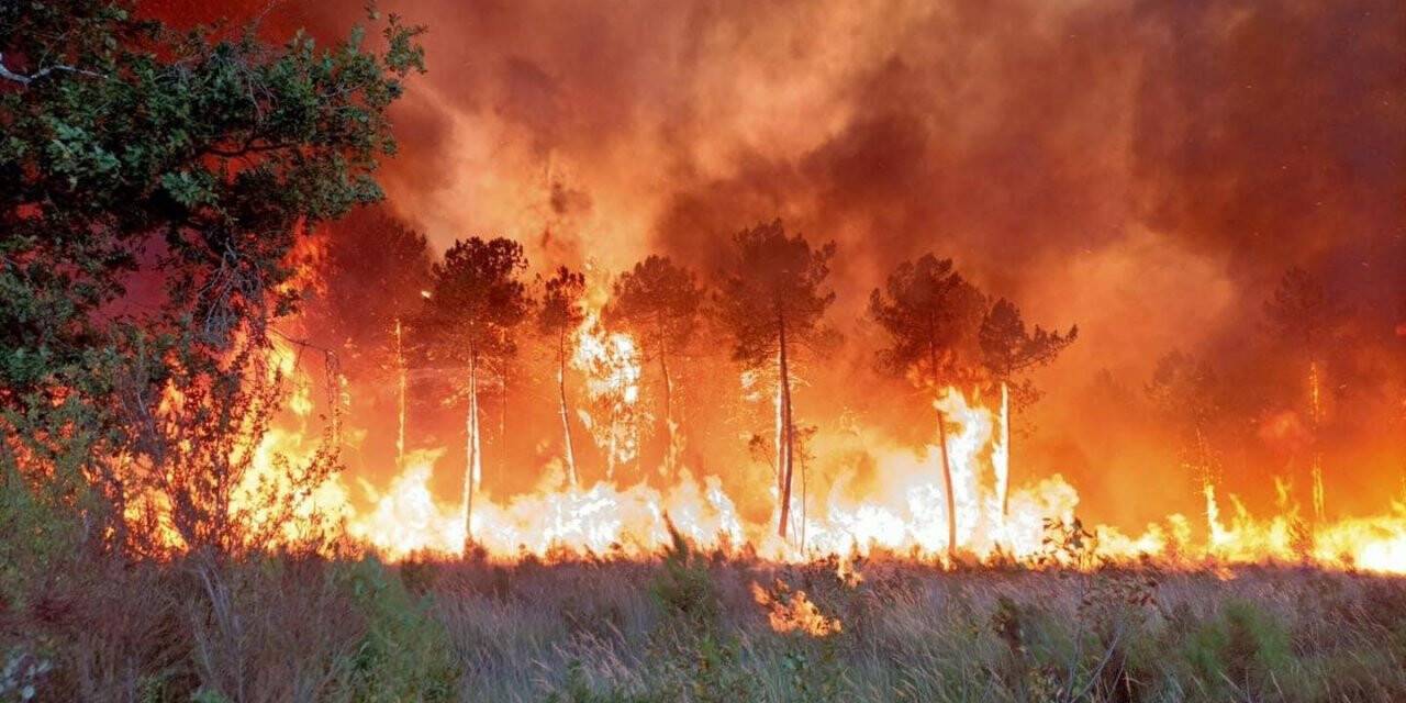 Fransa’daki orman yangınları söndürülemiyor