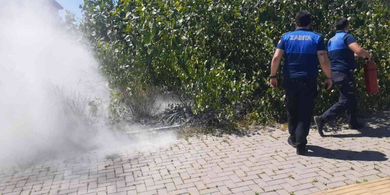 Çalılıktaki yangına zabıta müdahale etti