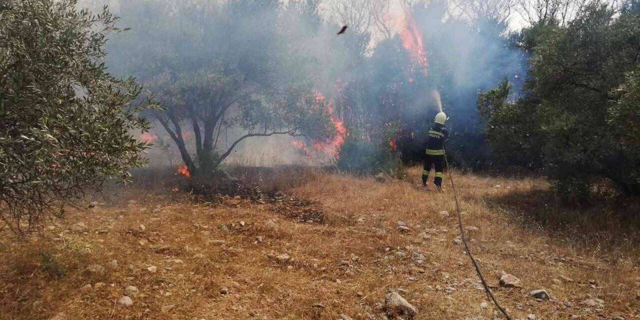 Menteşe’de arazi yangını