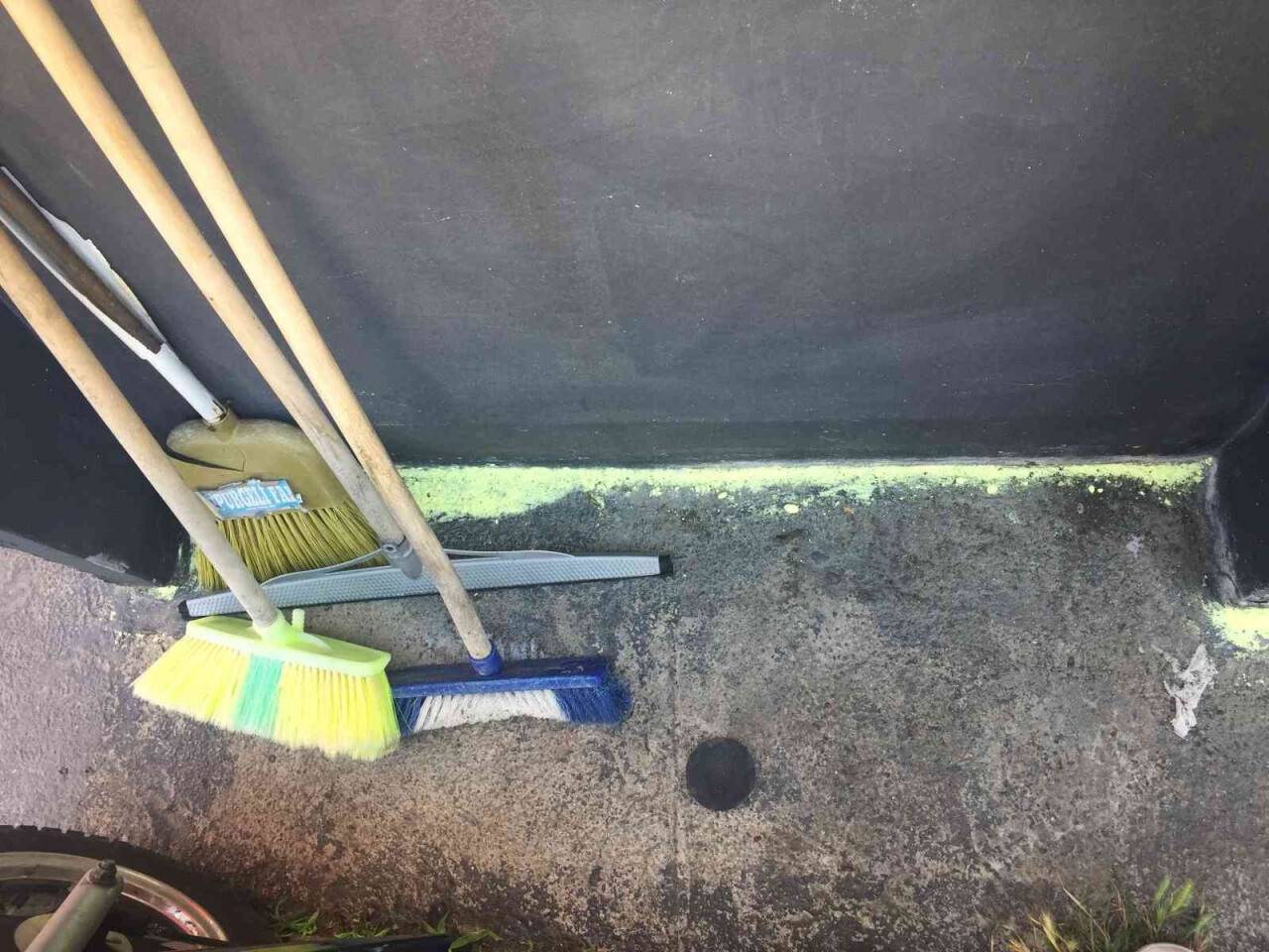 Yılan vakasına karşı kükürtlü önlem