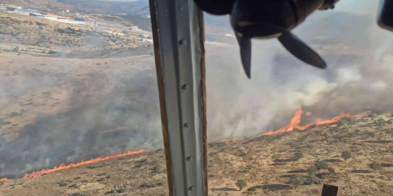 Aliağa’da otluk alanda yangın