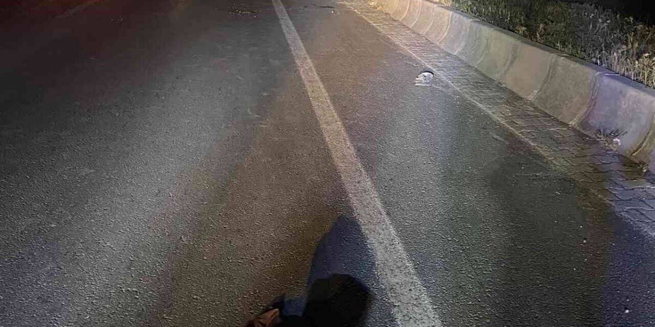 Ağrı’da tırın çarptığı kadın hayatını kaybetti