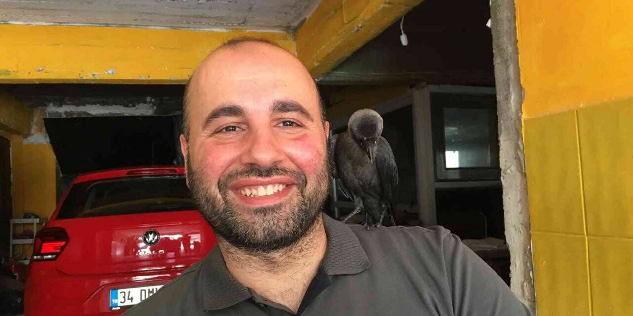Otopark işletmecisinin karga ile dostluğu görenleri şaşırtıyor