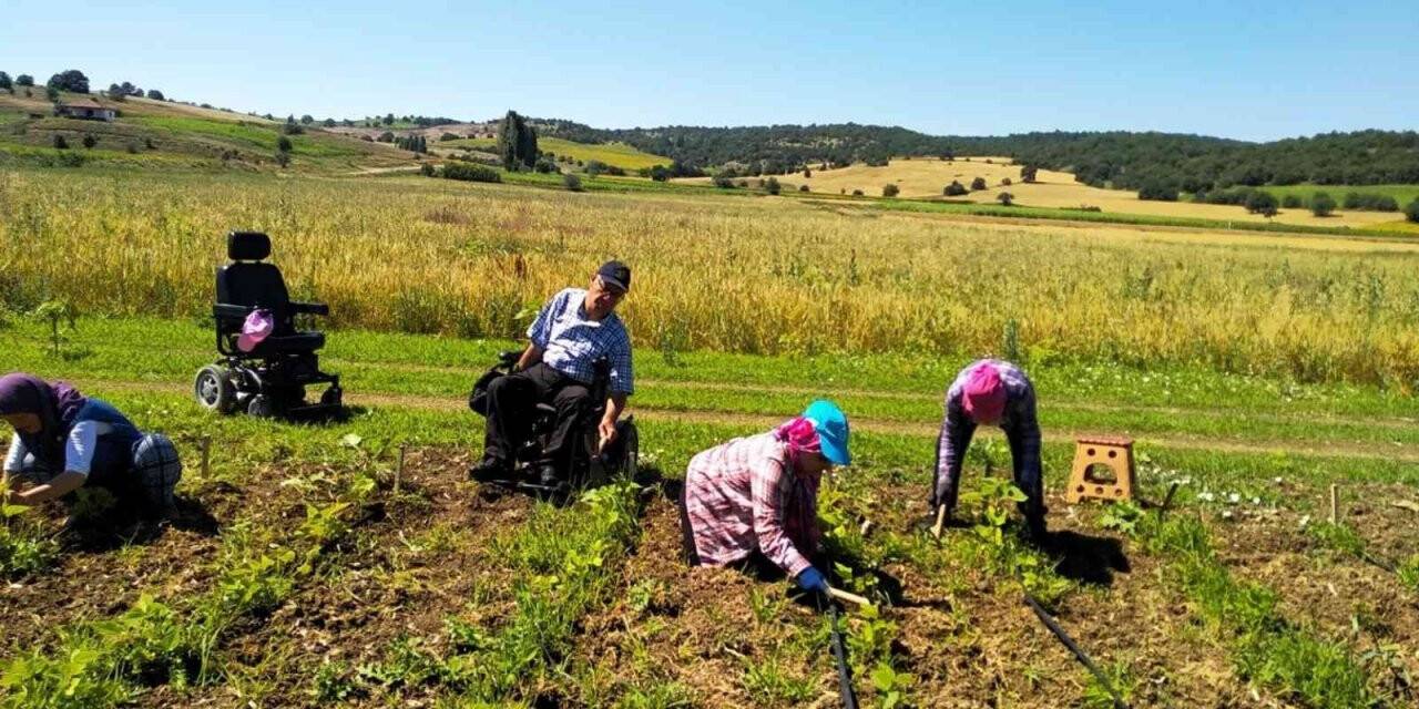Engelli bireyler uygulamalı bahçede sebze yetiştiriyorlar