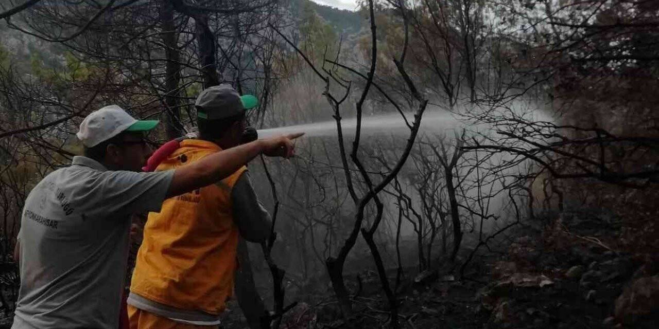 Şuhut’tan giden ekip Datça’da cansiperane çalıştı