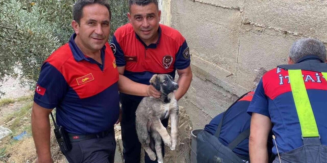 40 derece sıcaklıkta yavru köpeği kurtarmak için seferber oldular