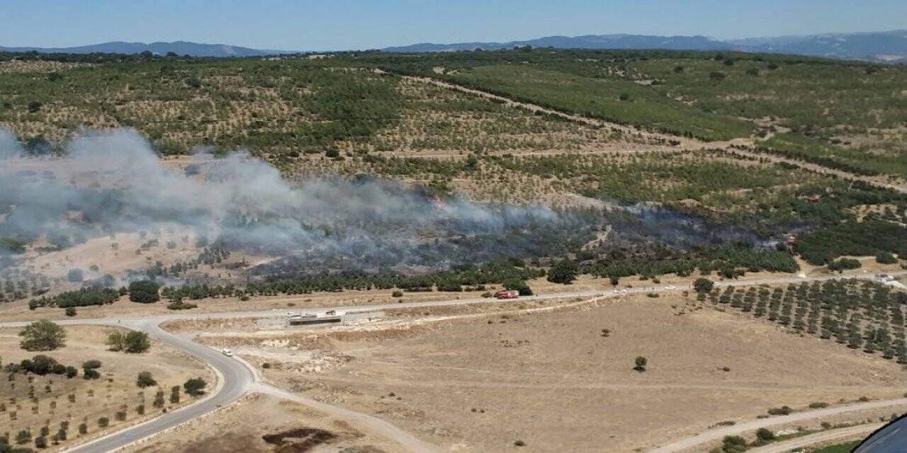 İzmir’de ziraat arazisindeki yangın kontrol altında