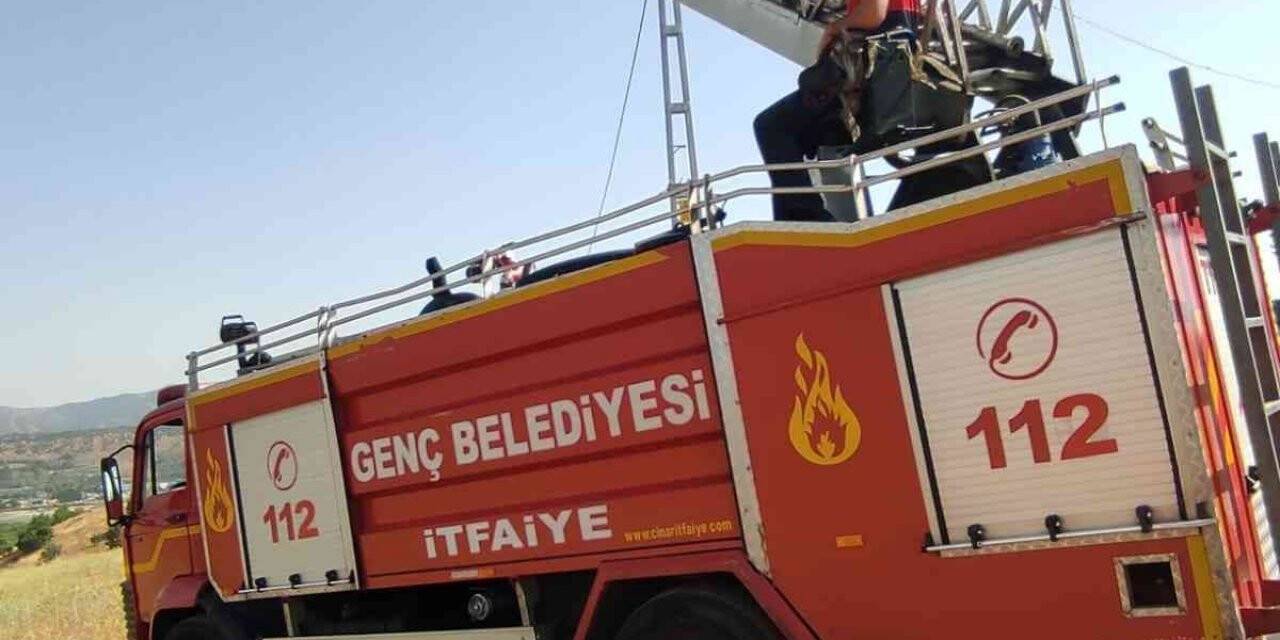 İtfaiye ekipleri yuvası bozulan leyleğe yuva yaptı