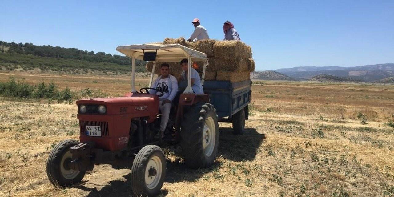 Salihli’de hayvan üreticilerine kaba yem desteği