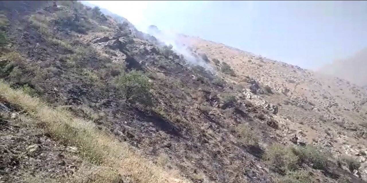 Bahçesaray’daki örtü yangını kontrol altına alındı