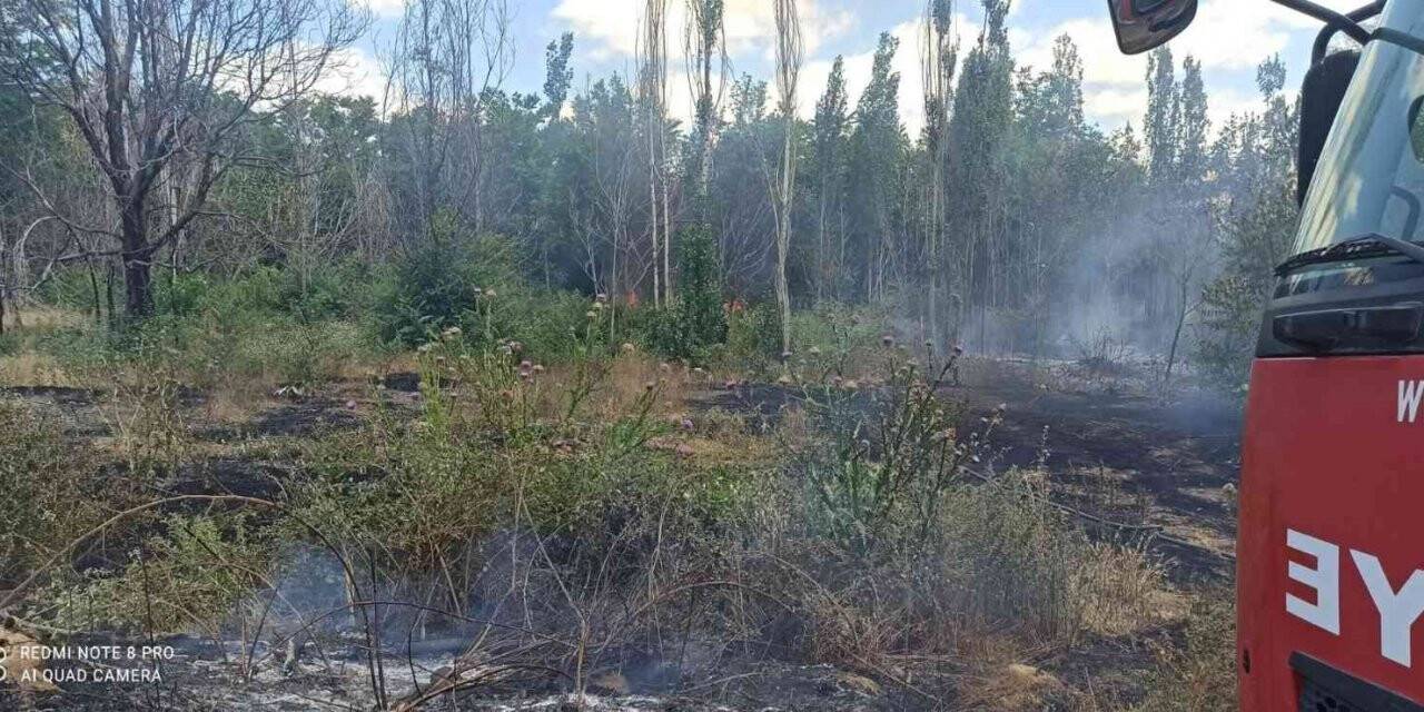 Ağaçlık alanda çıkan yangın söndürüldü