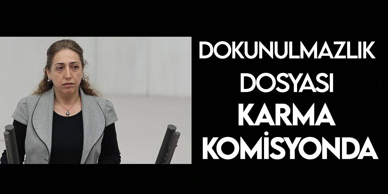 DBP'li Aydeniz'in dokunulmazlığının kaldırılması yönündeki rapor Karma Komisyona sunuldu