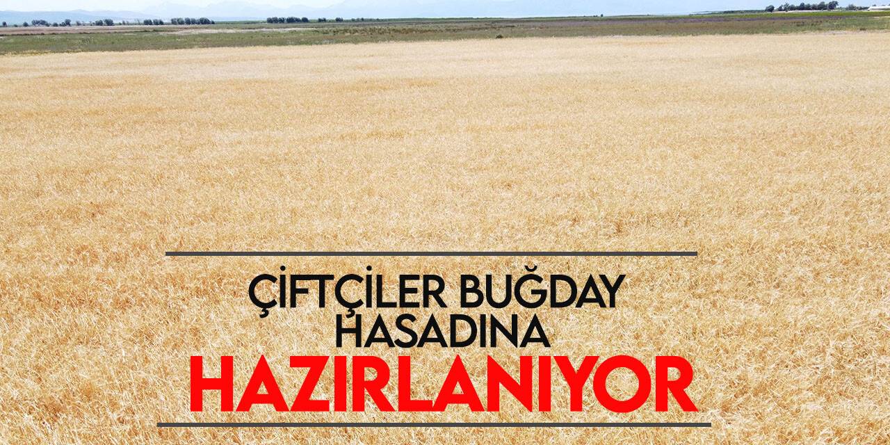 Konya’da çiftçiler buğday hasadına hazırlanıyor