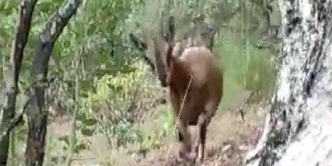 Yangının kahramanları nöbete devam ediyor