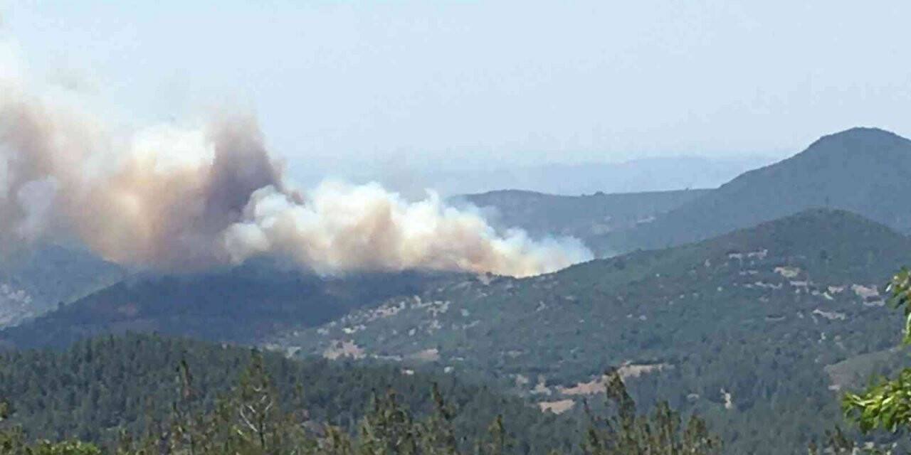 Kepsut’ta orman yangını