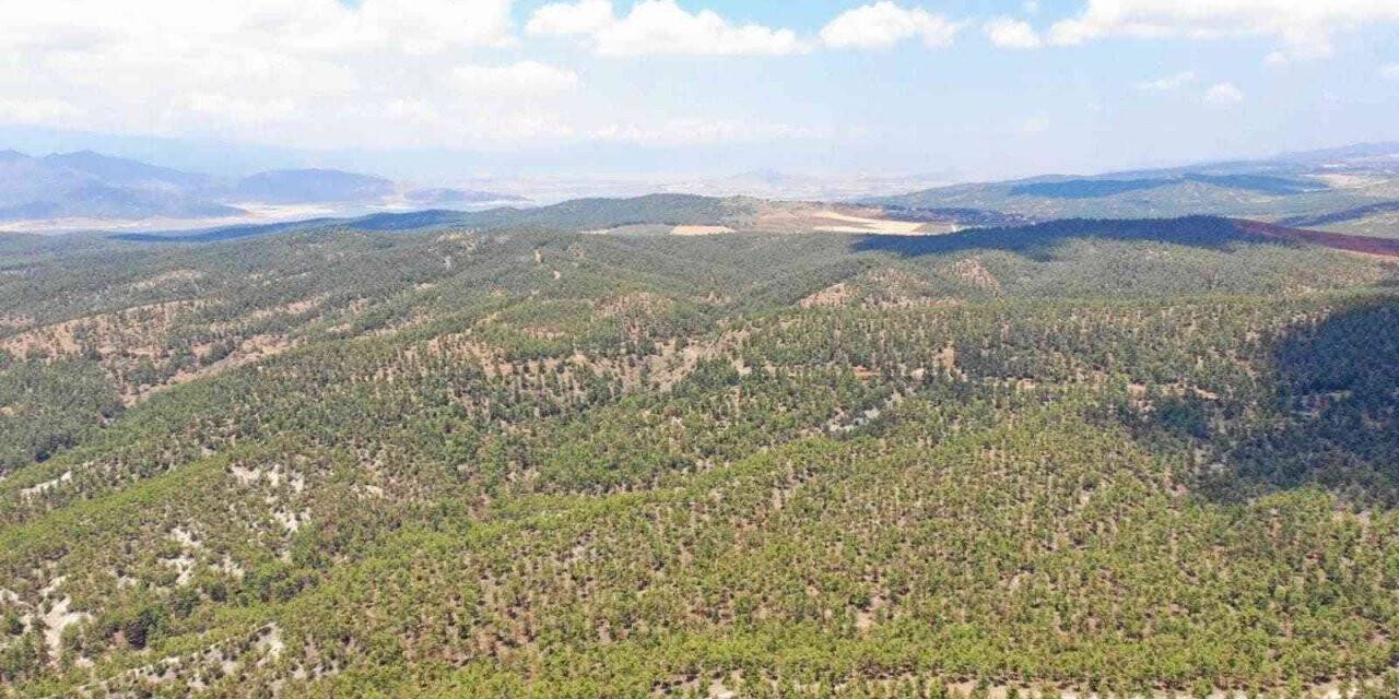 Kilis’te orman denetimi
