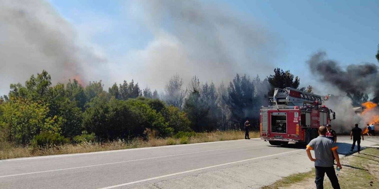 Saman yüklü tır alev aldı, yangın ormanlık alana sıçradı