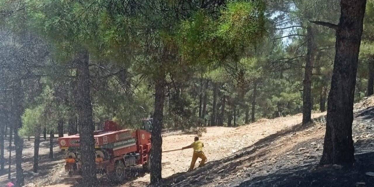 Adıyaman’da orman yangını korkuttu