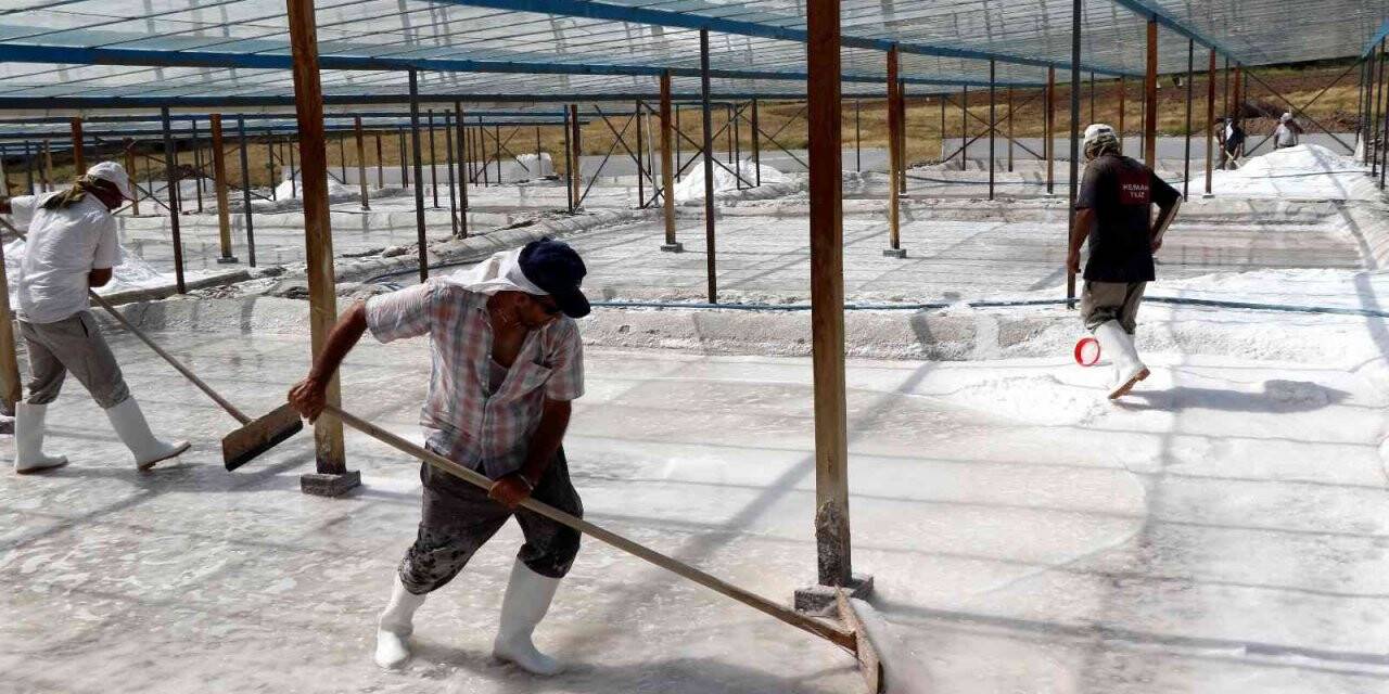 Bunaltıcı sıcaklar 3 bin yıllık "Kemah tuzu"na bereket getirdi