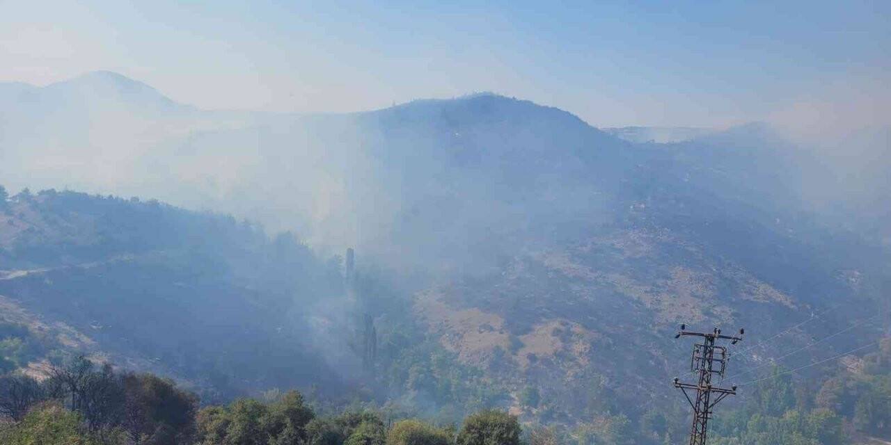 Vali Şıldak yangın bölgesinde