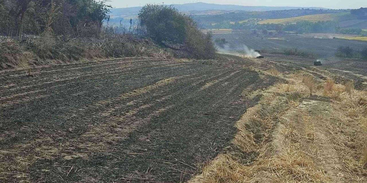 Malkara’da 380 dönüm buğday tarlası kül oldu