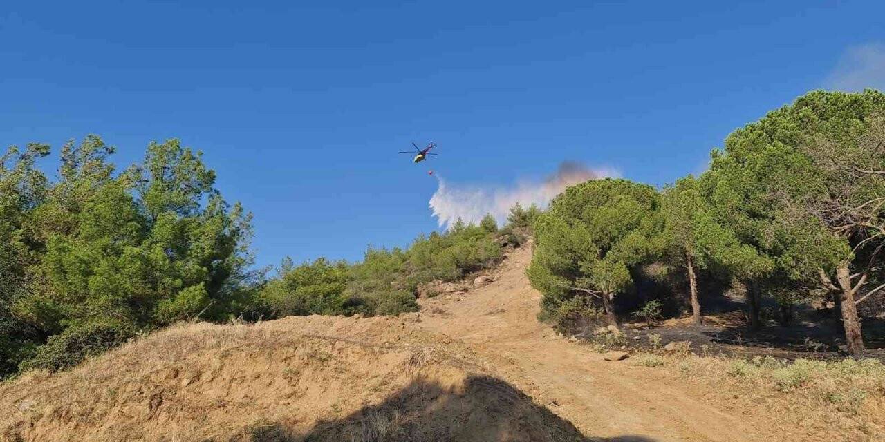 Nazilli’deki yangına müdahale sürüyor