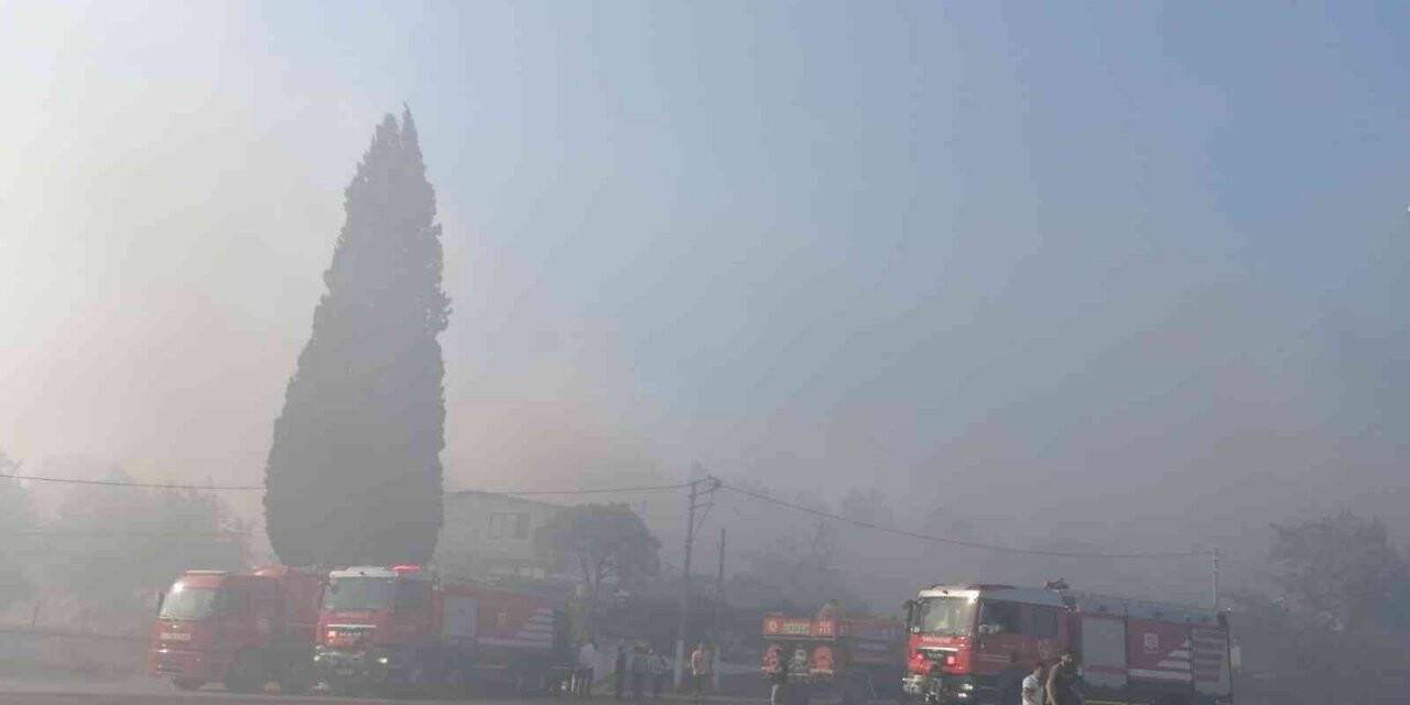 İzmir’de çıkan yangın kontrol altına alındı