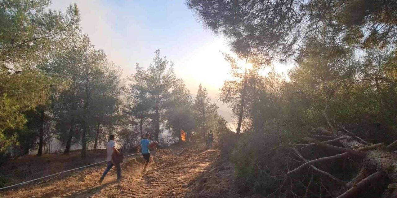 Alevlerin kontrol altına alınması için iş makineleri konuşlandırıldı