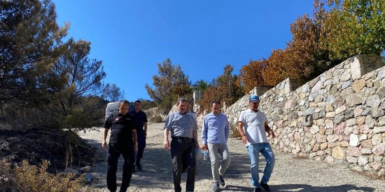 Vali Tavlı, Datça yangın bölgesinde incelemede bulundu