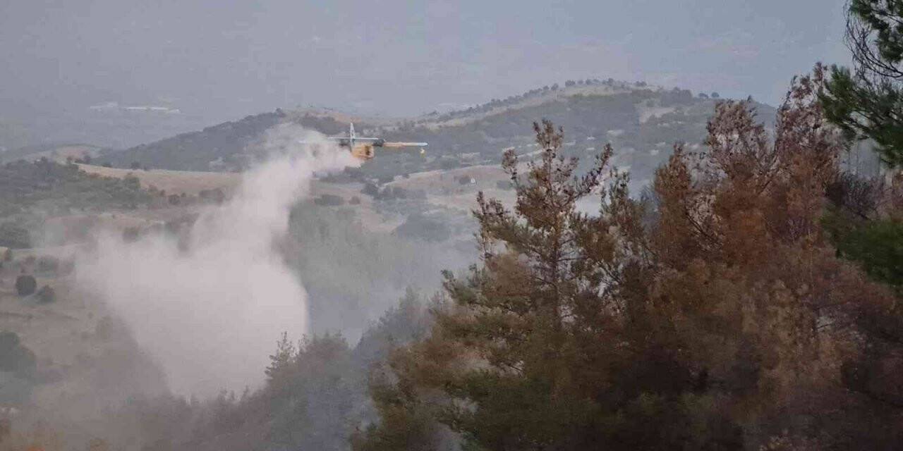 Nazilli yangını kısmen kontrol altına alındı