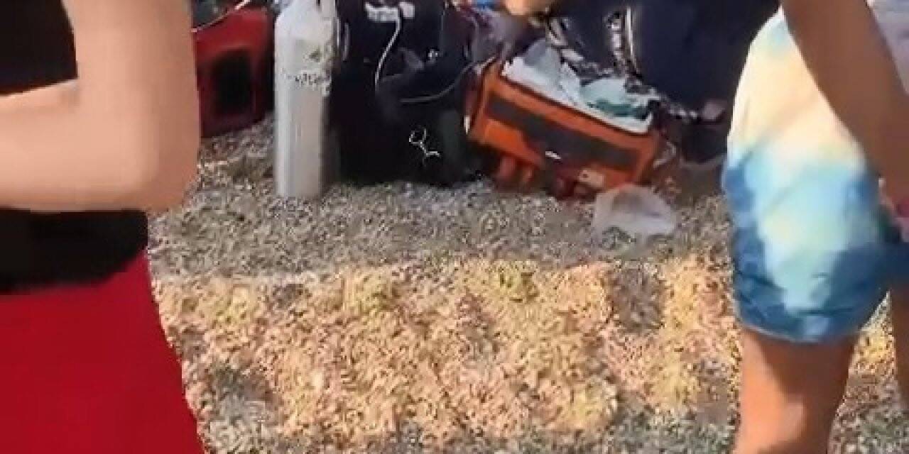 Günübirlik yüzmeye geldiği denizde kalp krizi geçirerek yaşamını yitirdi