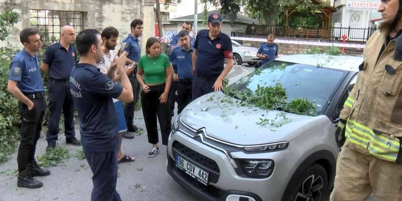 Üsküdar’da asırlık ağaç otomobilin üzerine devrildi