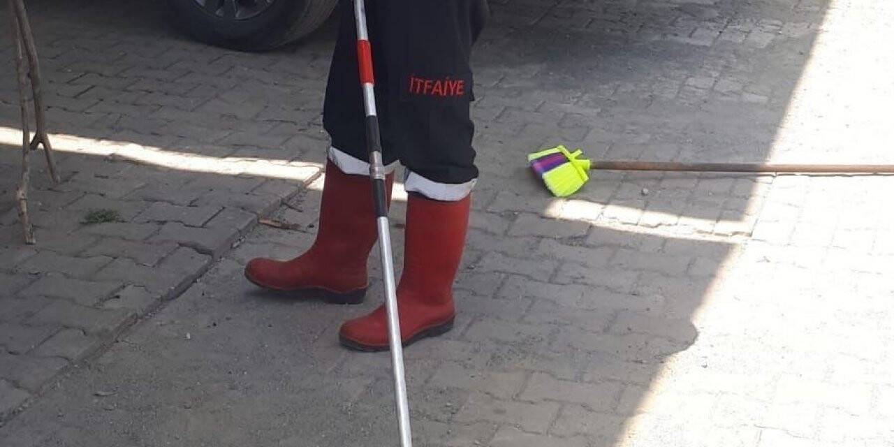 Iğdır’da iş yerine giren engerek yılanı korkuttu