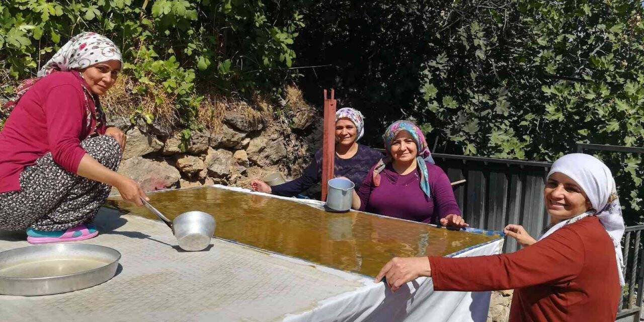 Dutun önemli geçim kaynağı olduğu Kemaliye’de kadınların zorlu pestil ve pekmez yapımı imece usulü ile eğlenceli hale geliyor