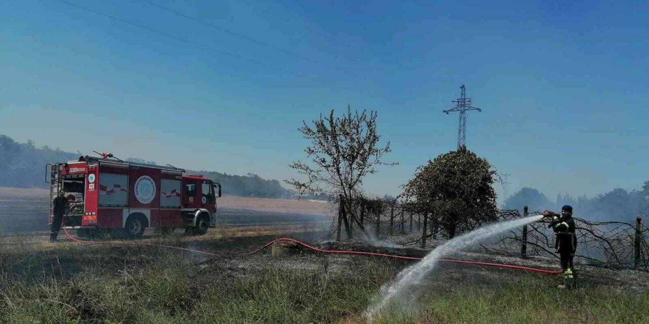 Sigara izmariti anız yangınına neden oldu
