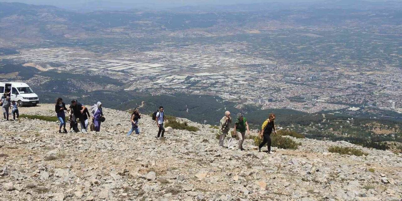 Spil Dağı Milli Parkı’nın endemik tür bitki ve çiçekleri fotoğraflandı