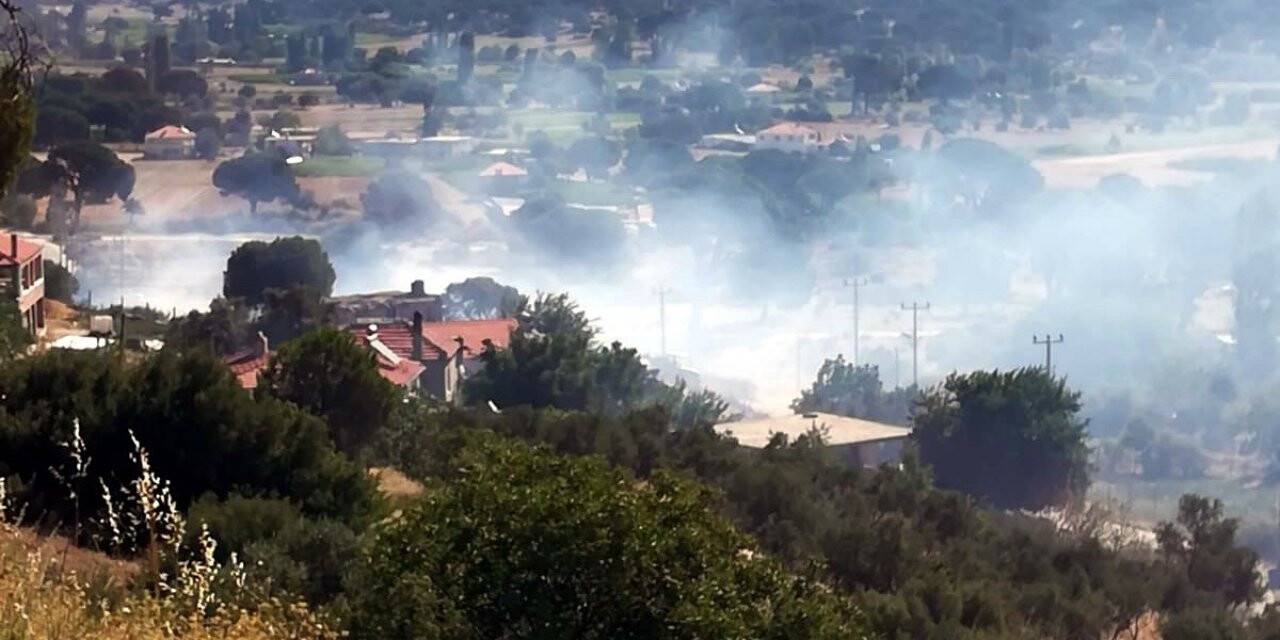 Milas’ta çıkan yangın panikletti