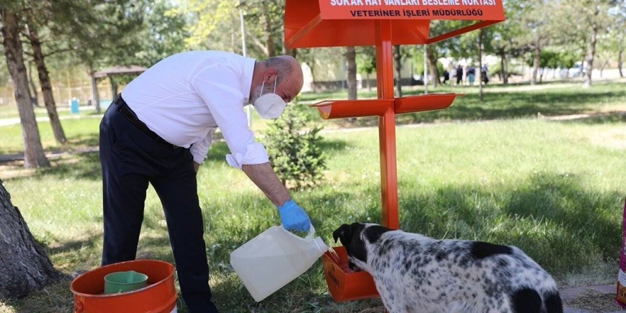 Kocasinan’da küçük dostlar için büyük hassasiyet