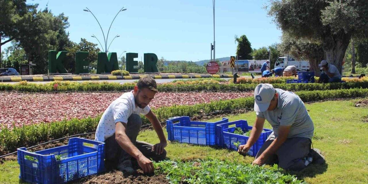 Kemer peyzaj çalışmalarıyla renklenecek